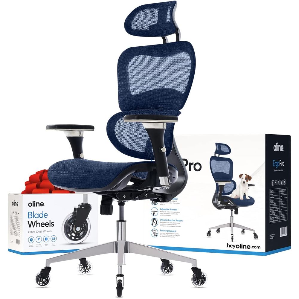 เก้าอี้สำนักงานตามหลักสรีรศาสต - Ergonomic Office Chair บทวิจารณ์และราคา